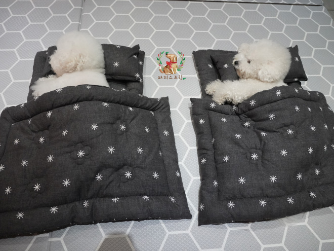 Tidur Nggak Pernah Terlihat Seimut Ini, Gemes Banget